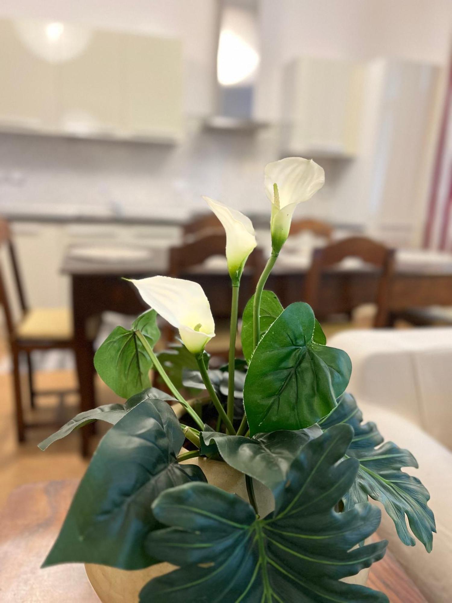 Loft With Private Parking Apartment Trieste Ngoại thất bức ảnh